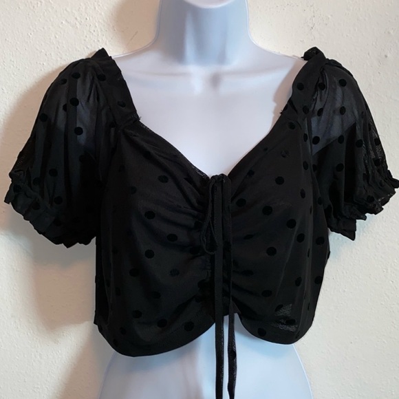 Sheer Swiss Ruched Short Cropped Top. - Picture 1 of 4